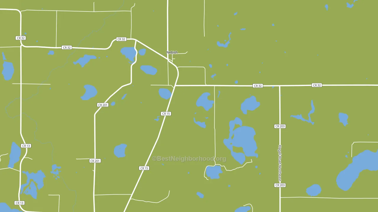 Nebish, MN block-group voter-turnout map