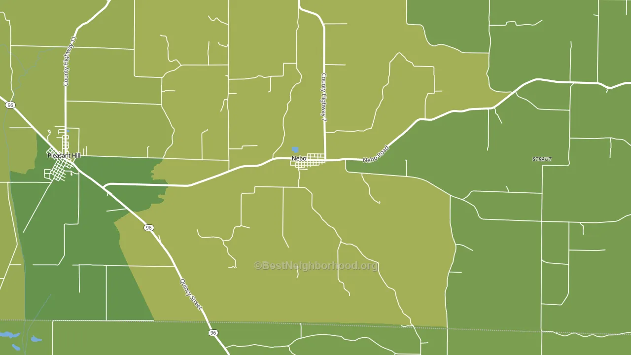 Nebo, IL block-group voter-turnout map