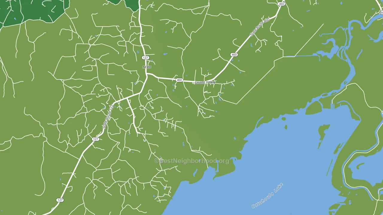Nebo, LA block-group voter-turnout map