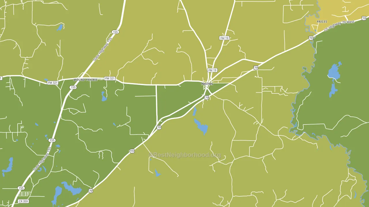 Neches, TX block-group voter-turnout map