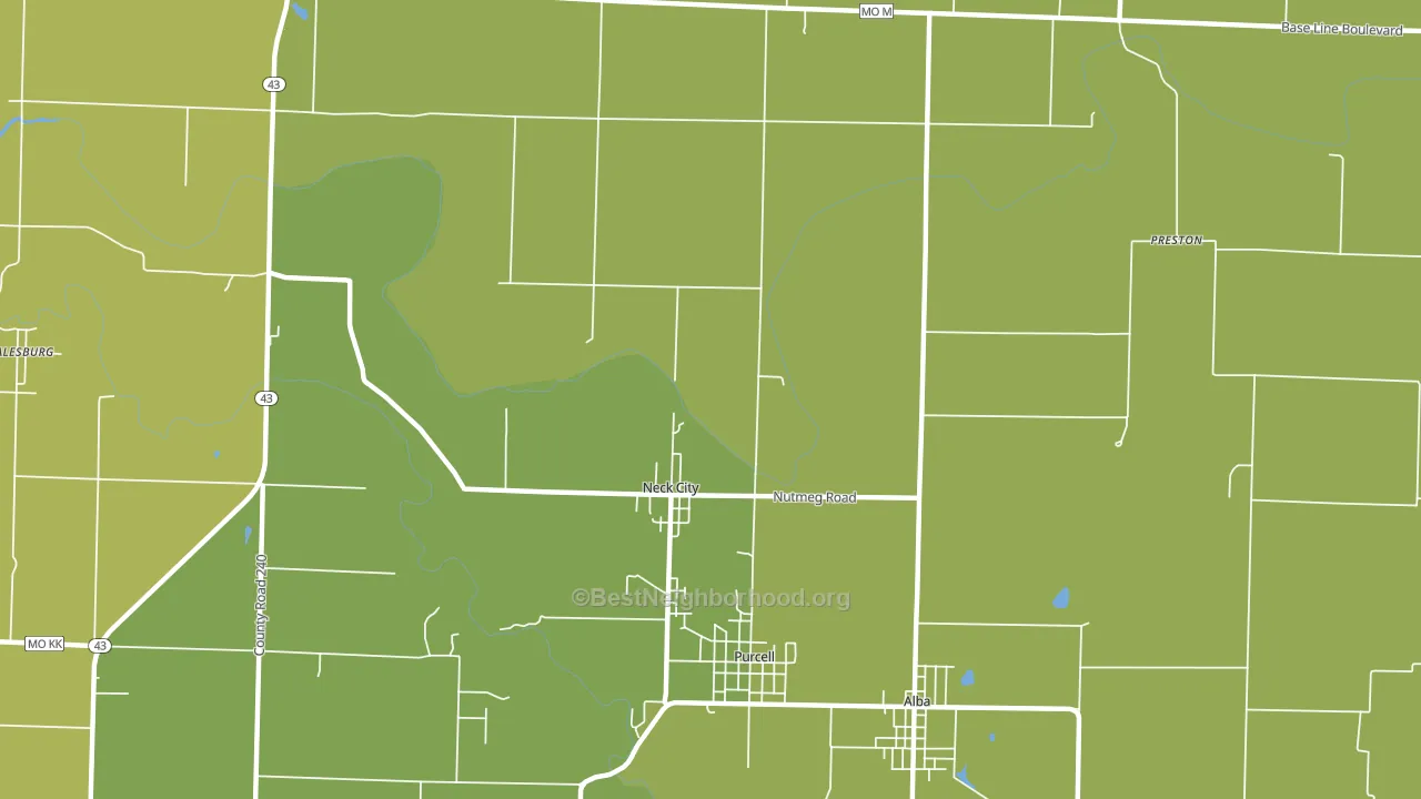 Neck City, MO block-group voter-turnout map