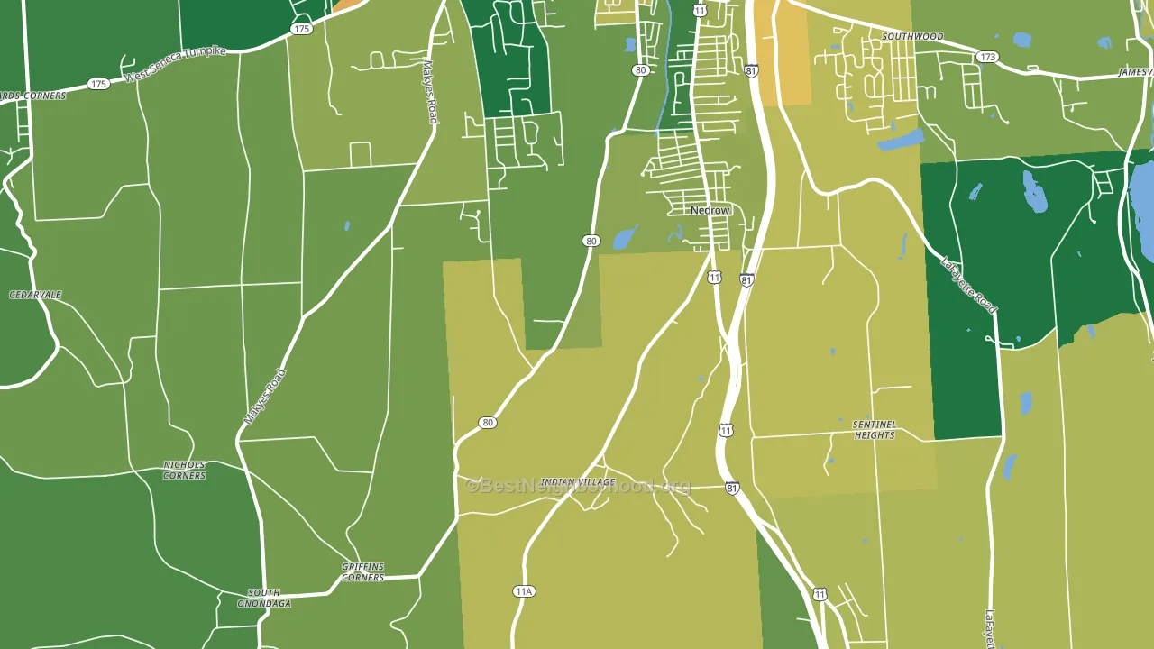 Nedrow, NY block-group voter-turnout map