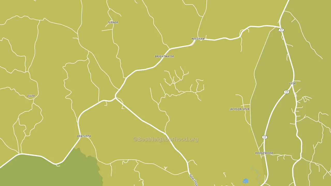 Needham, AL block-group voter-turnout map