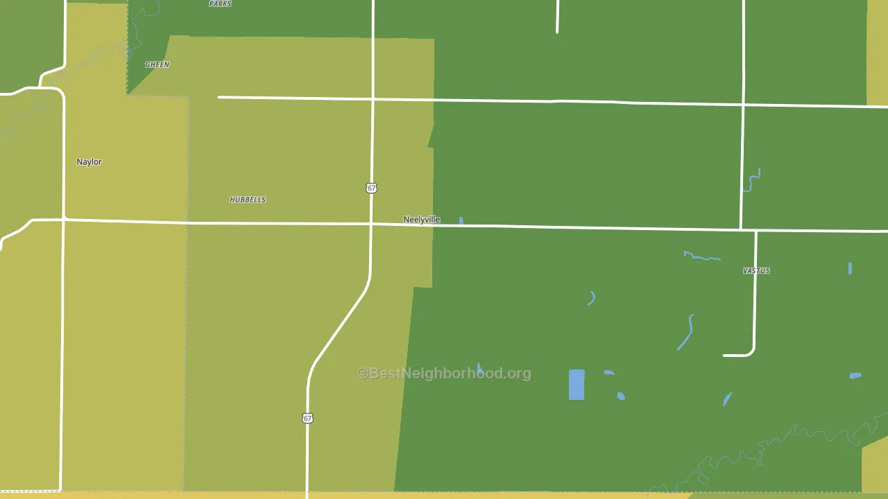 Neelyville, MO block-group voter-turnout map