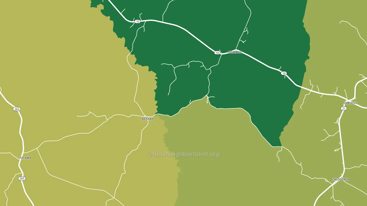 Neenah, AL block-group voter-turnout map