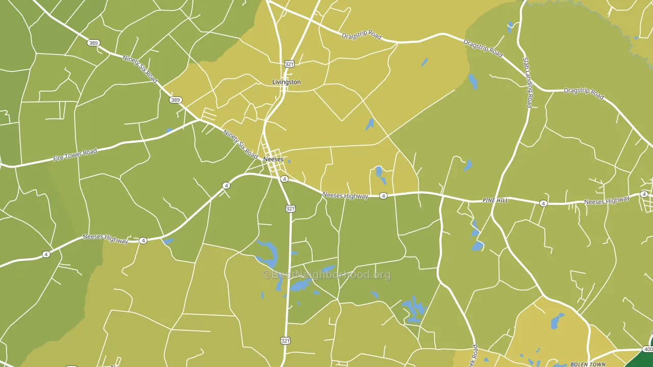 Neeses, SC block-group voter-turnout map