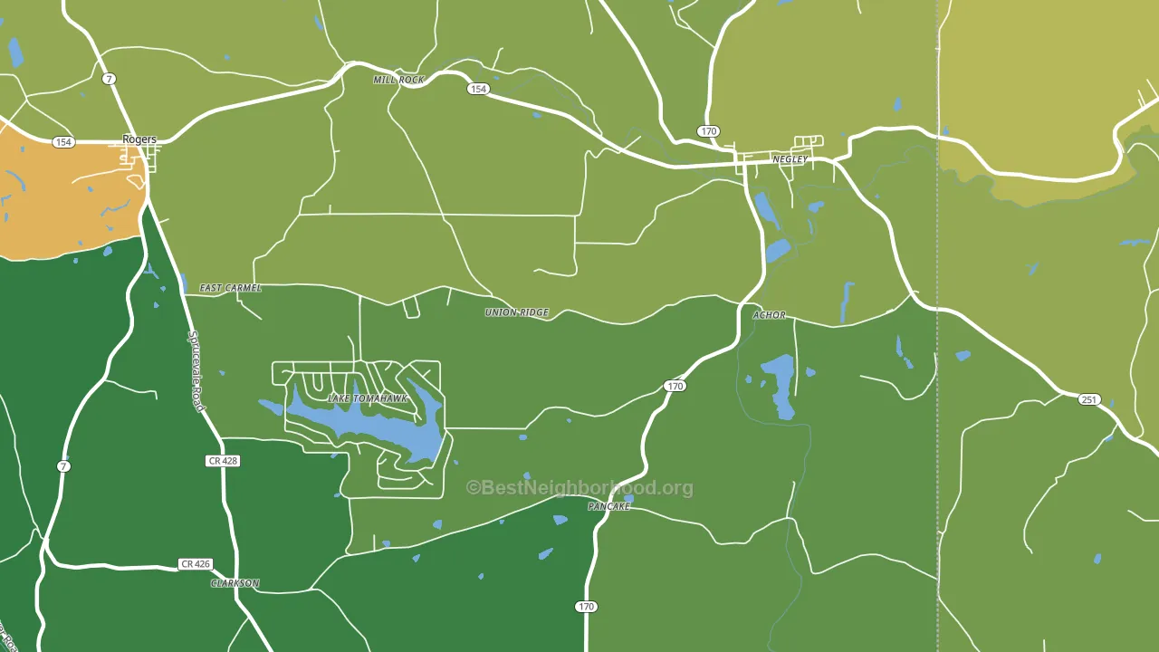 Negley, OH block-group voter-turnout map