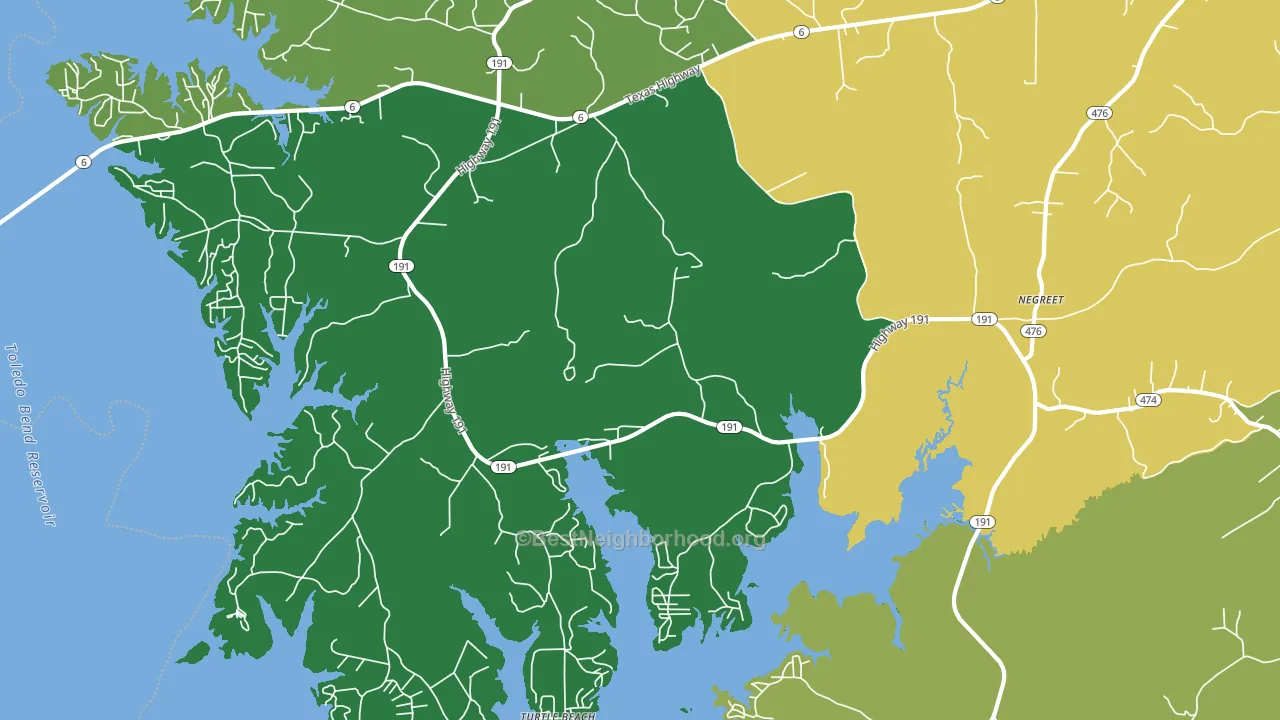 Negreet, LA block-group voter-turnout map