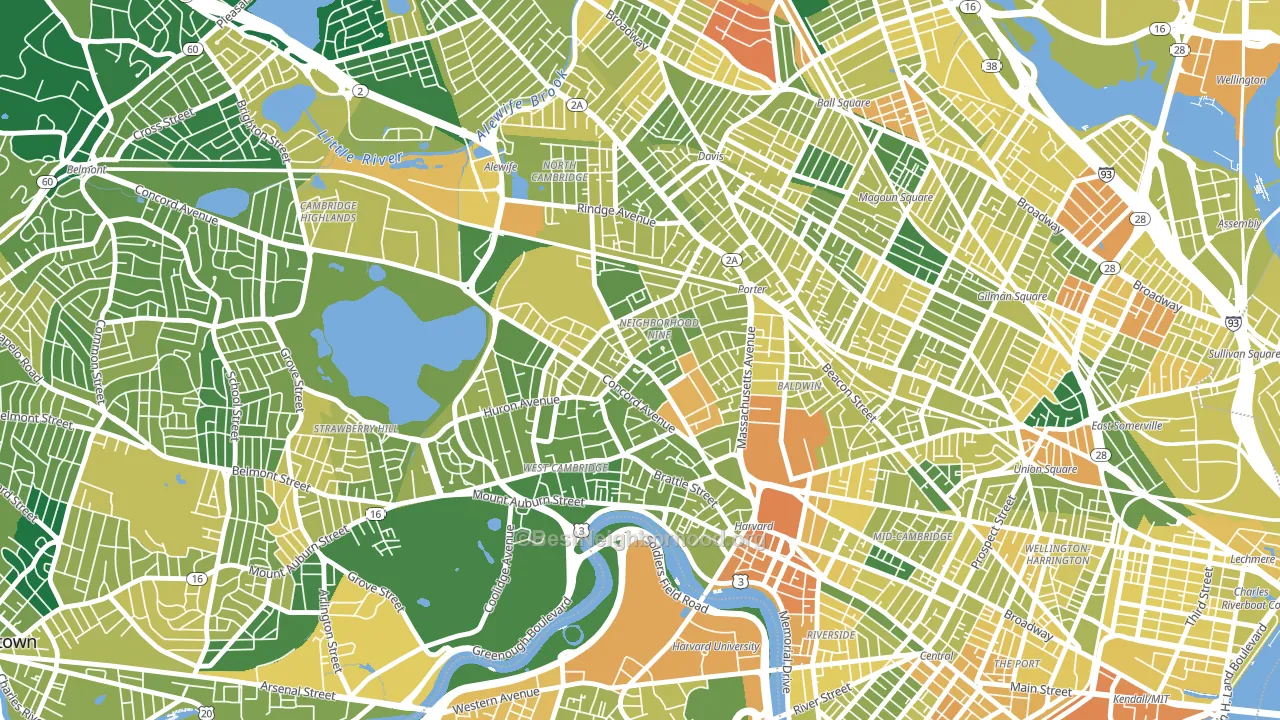 Neighborhood Nine, Cambridge, MA block-group voter-turnout map