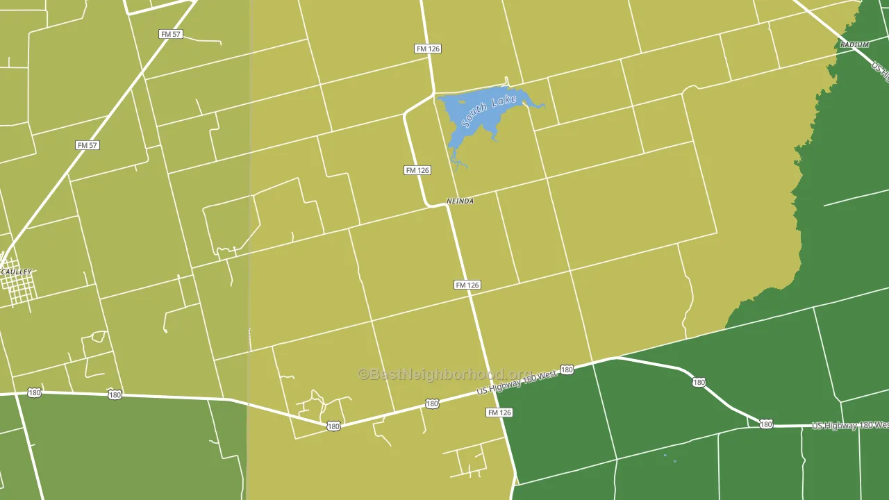 Neinda, TX block-group voter-turnout map