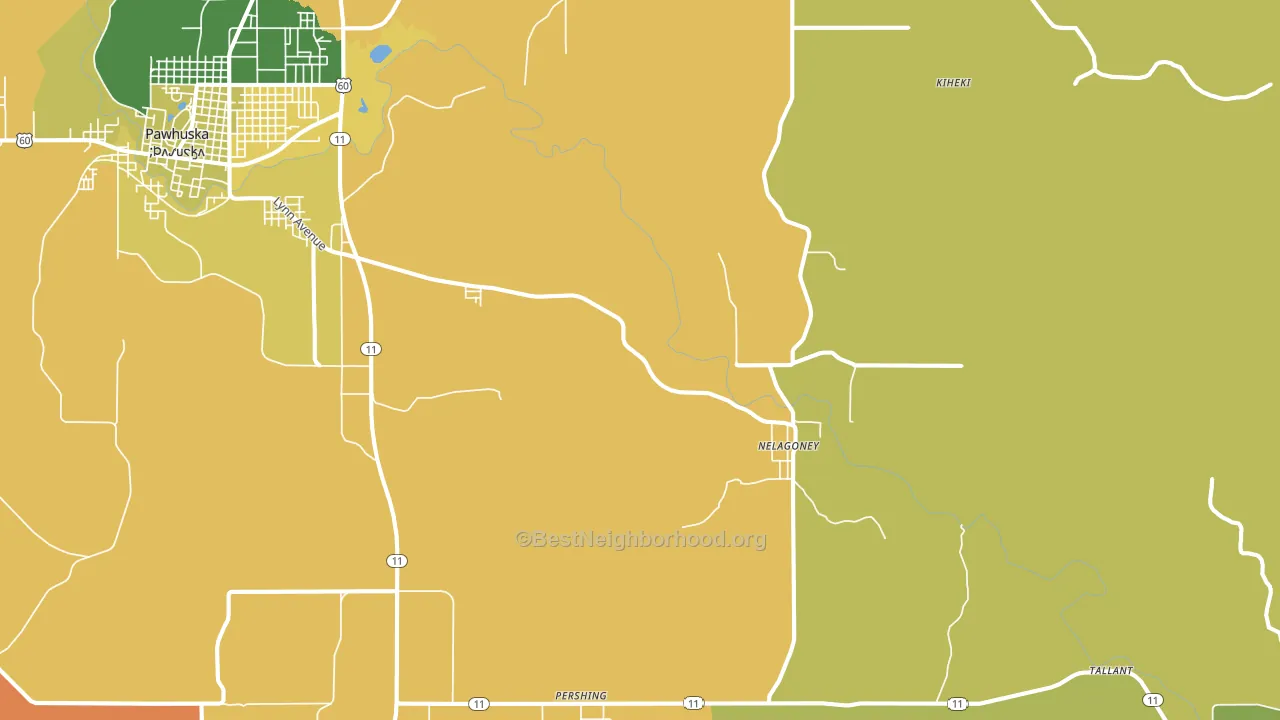 Nelagoney, OK block-group voter-turnout map