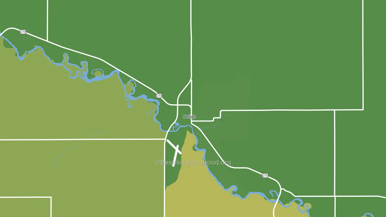 Neligh, NE block-group voter-turnout map