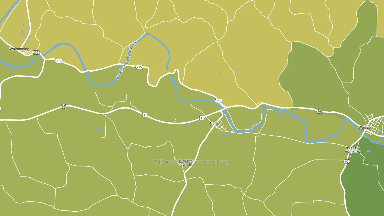 Nellie, OH block-group voter-turnout map