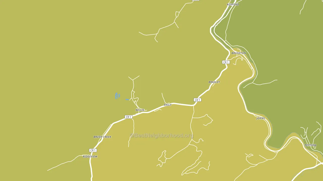 Nellis, WV block-group voter-turnout map
