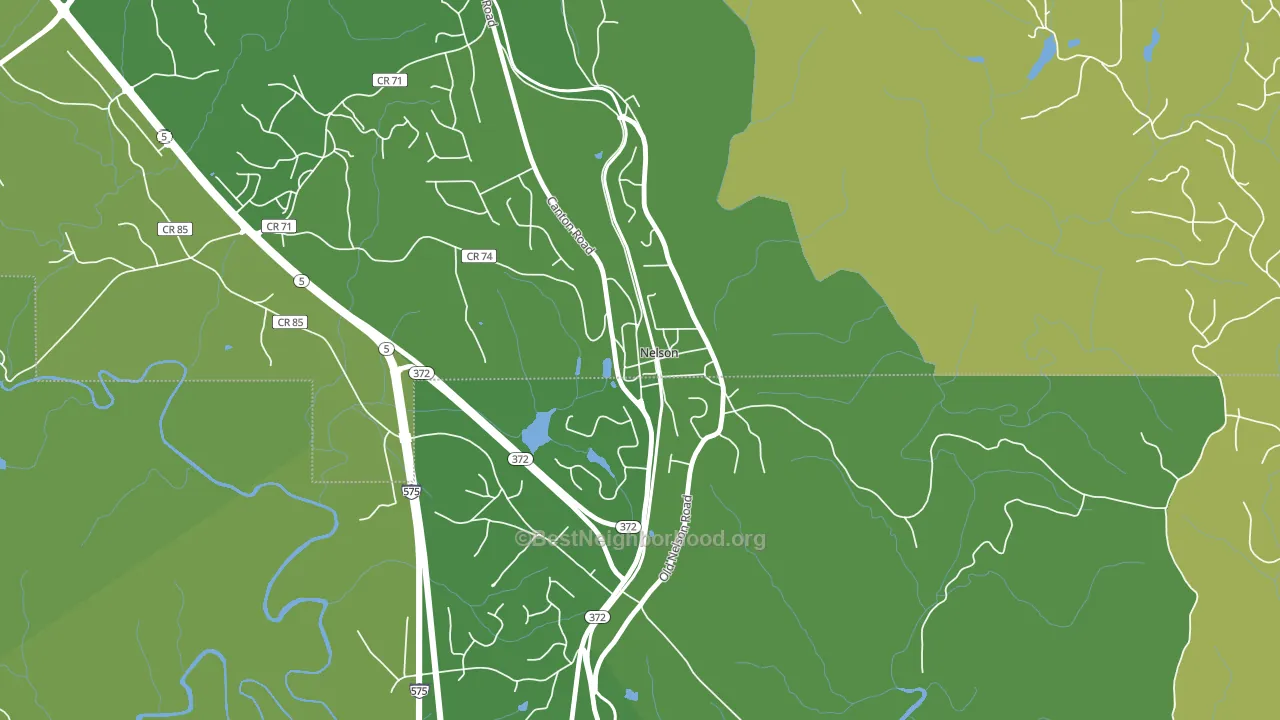 Nelson, GA block-group voter-turnout map