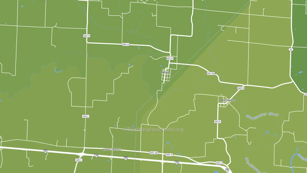 Nelson, MO block-group voter-turnout map