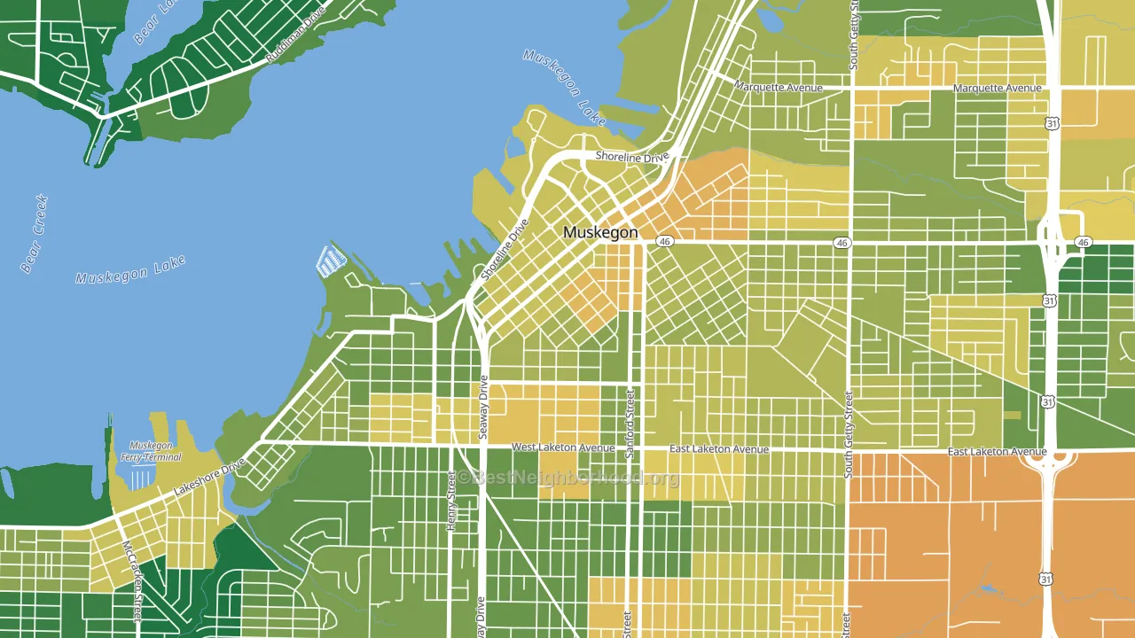 Nelson, Muskegon, MI block-group voter-turnout map