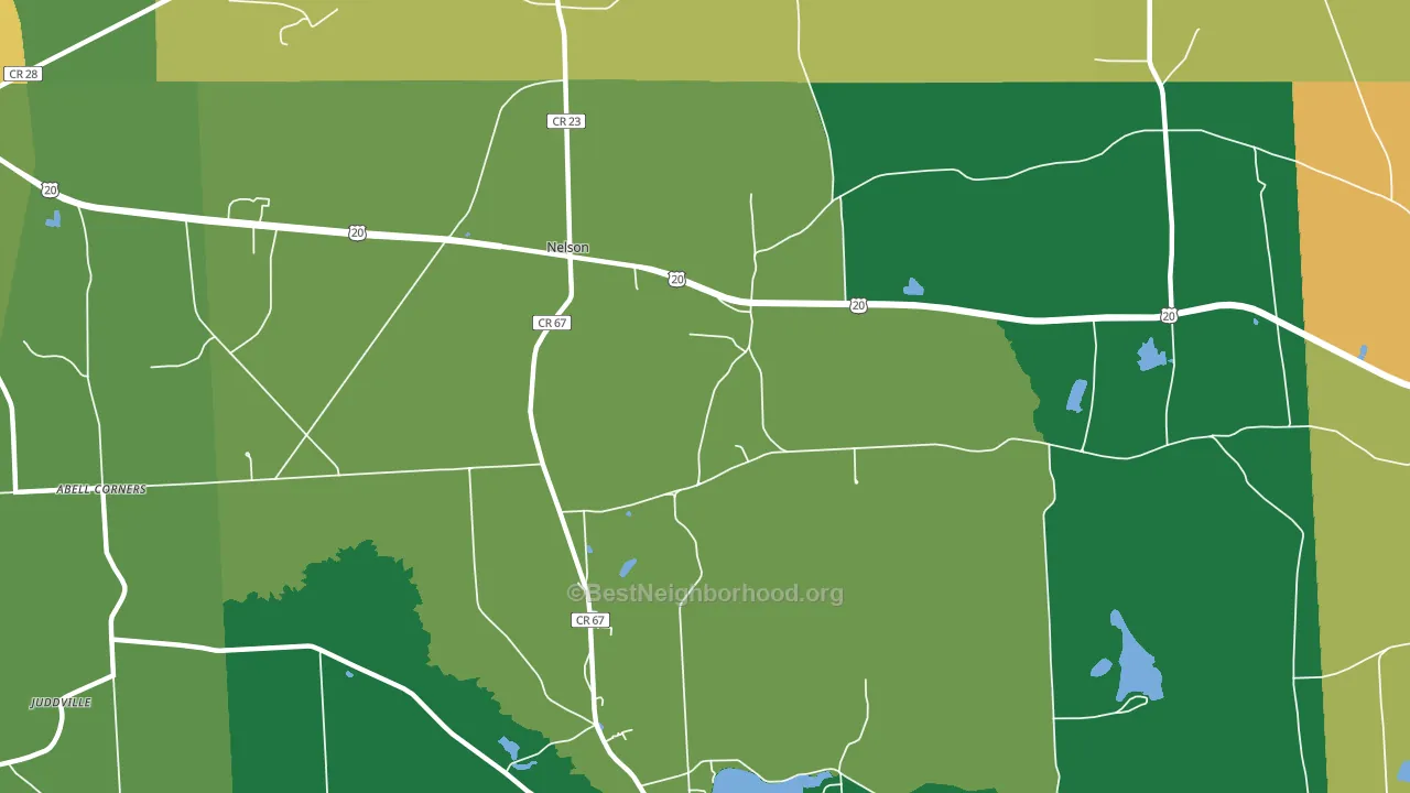 Nelson, NY block-group voter-turnout map