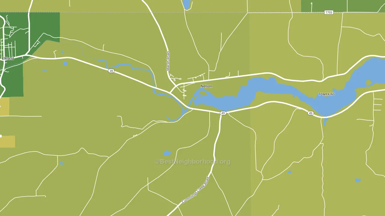 Nelson, PA block-group voter-turnout map
