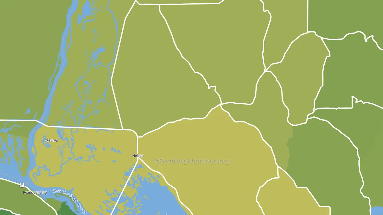 Nelson, WI block-group voter-turnout map