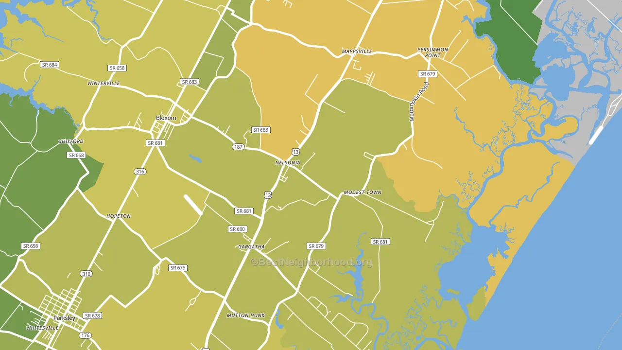 Nelsonia, VA block-group voter-turnout map