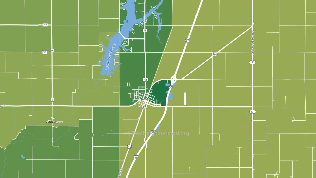 Neoga, IL block-group voter-turnout map