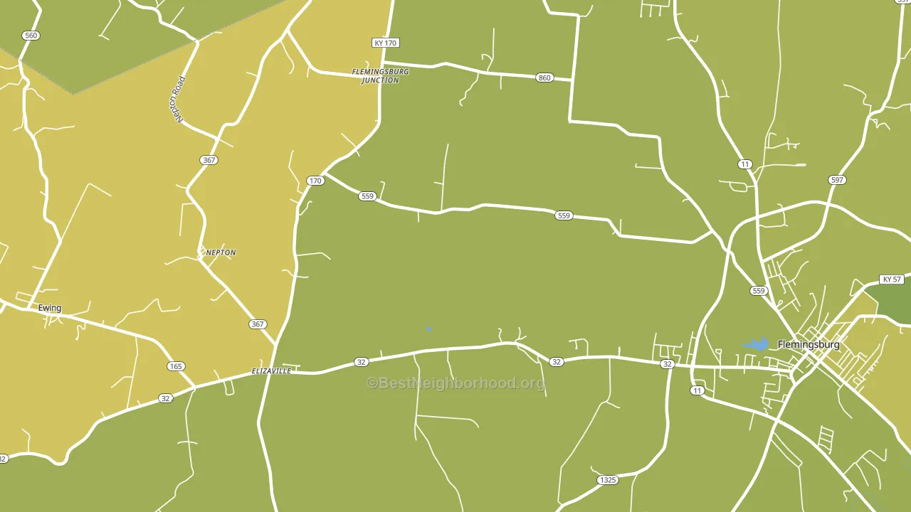 Nepton, KY block-group voter-turnout map