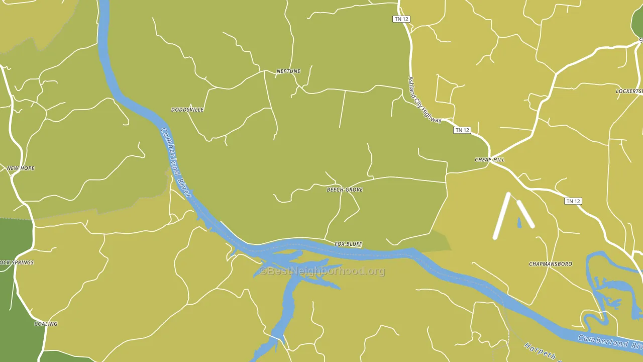 Neptune, TN block-group voter-turnout map