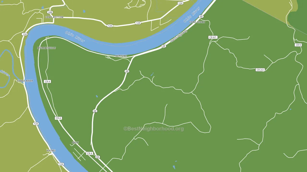 Neptune, WV block-group voter-turnout map