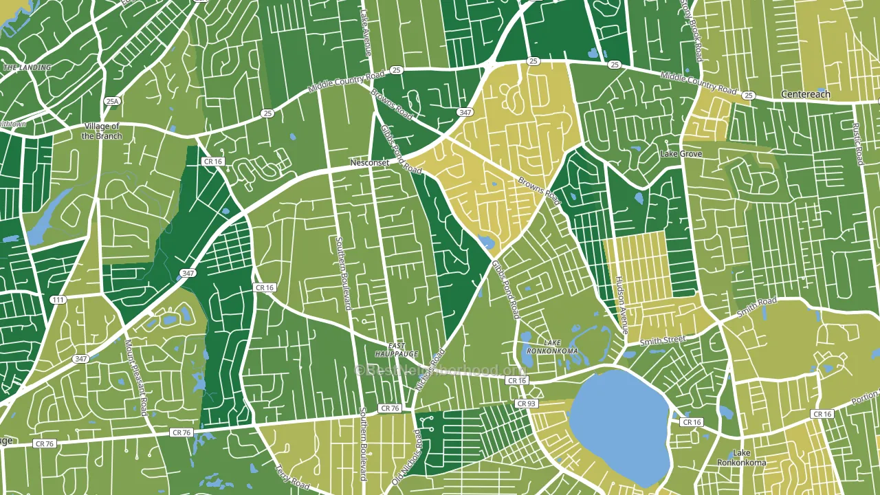 Nesconset, NY block-group voter-turnout map