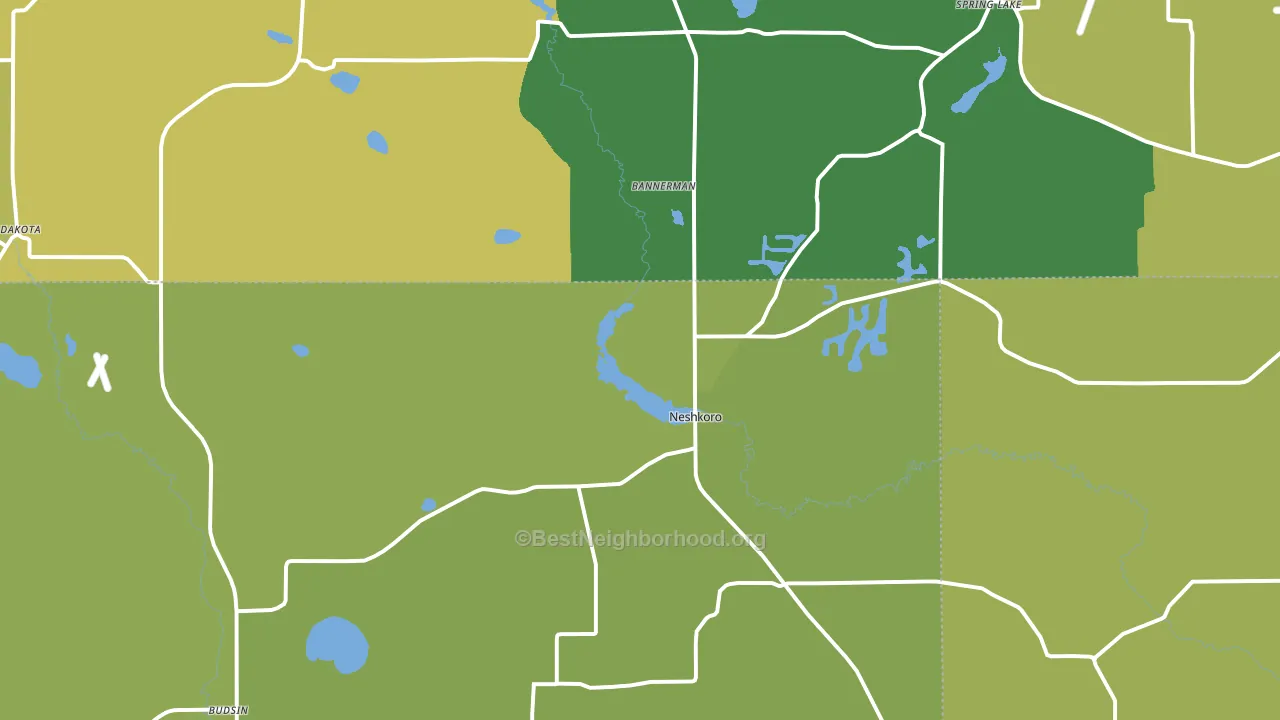 Neshkoro, WI block-group voter-turnout map