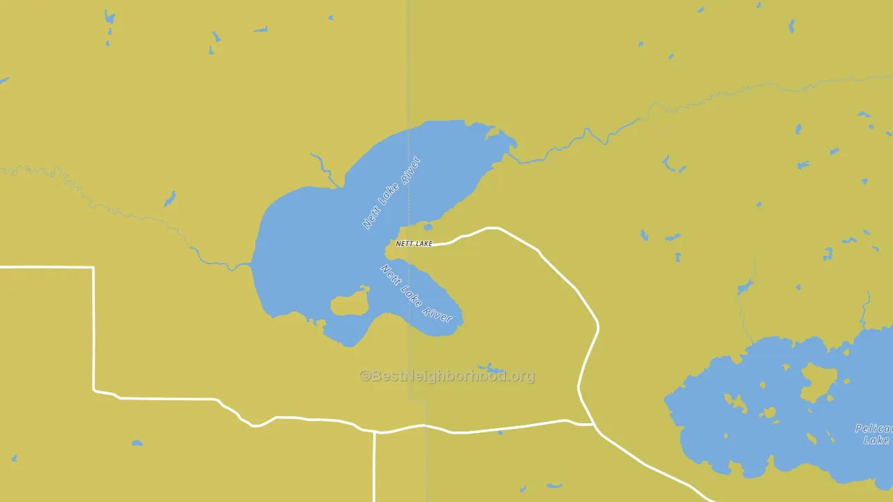 Nett Lake, MN block-group voter-turnout map
