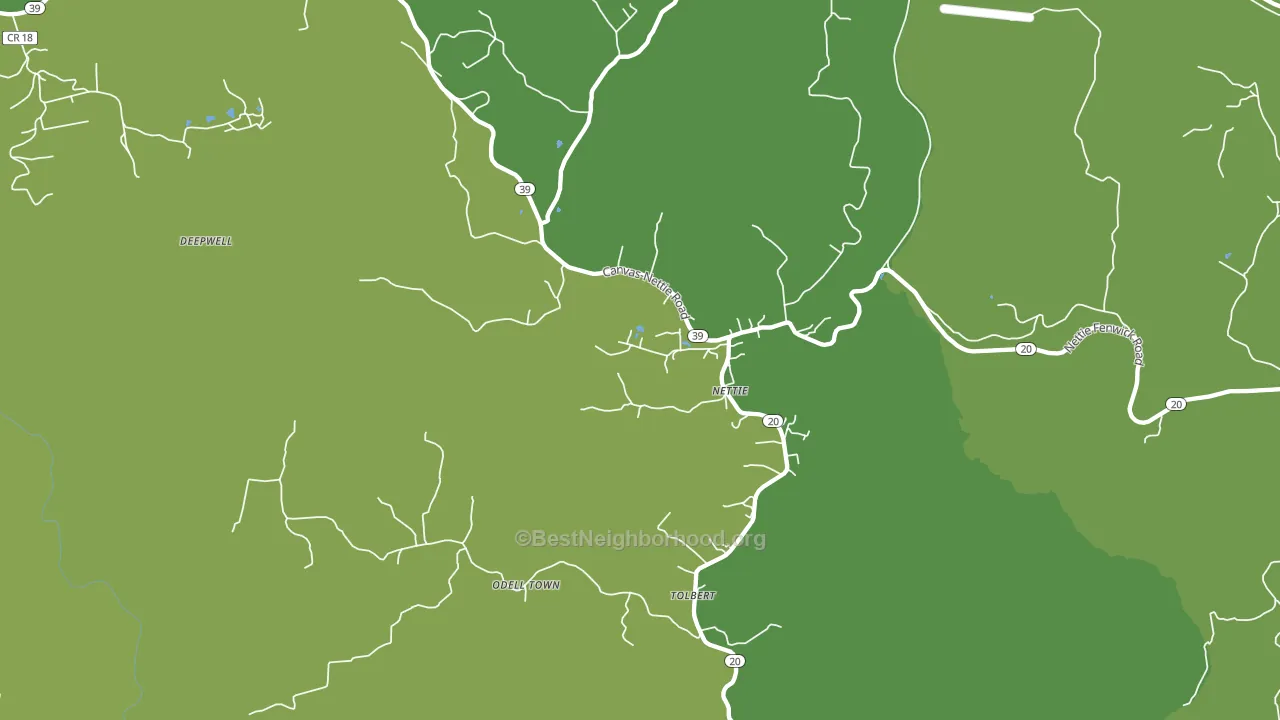 Nettie, WV block-group voter-turnout map