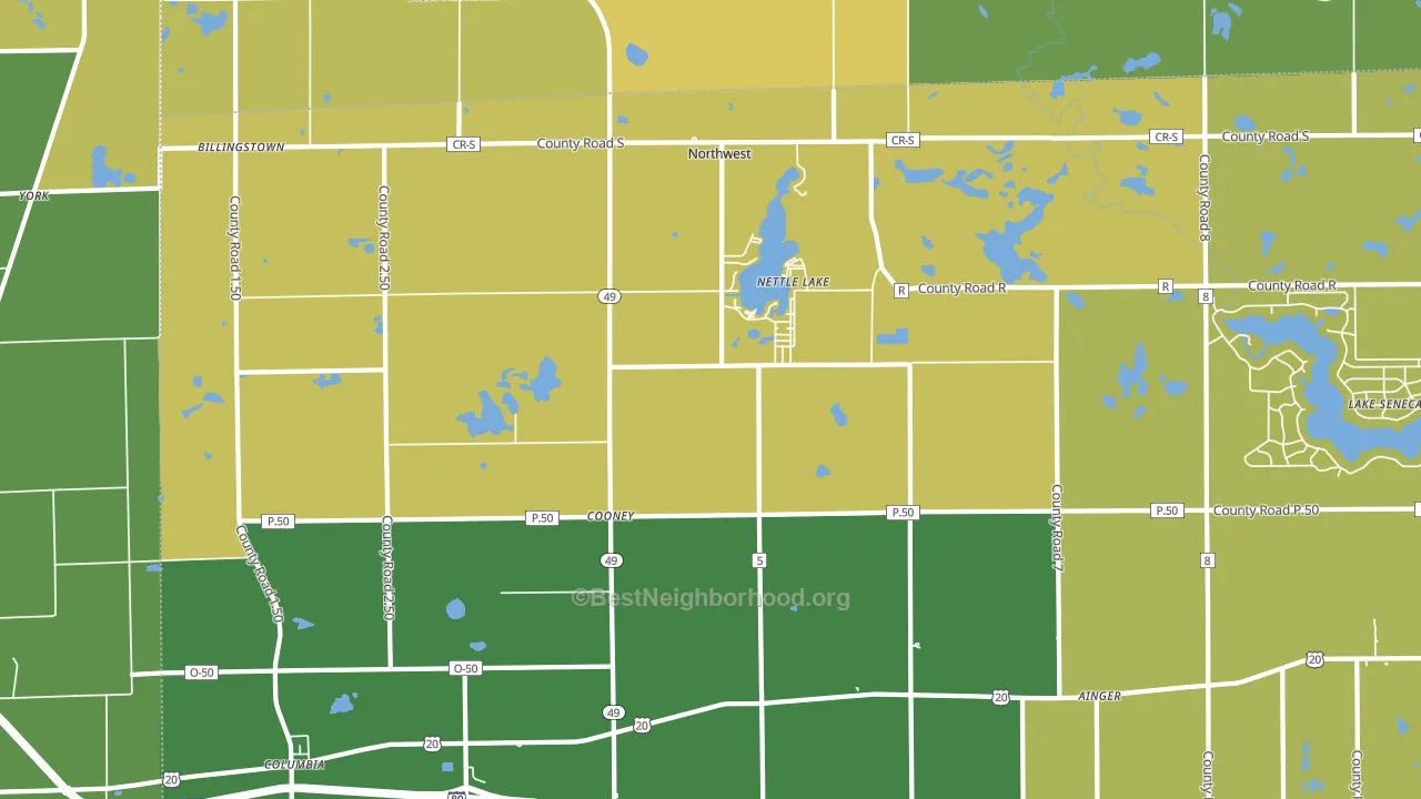 Nettle Lake, OH block-group voter-turnout map