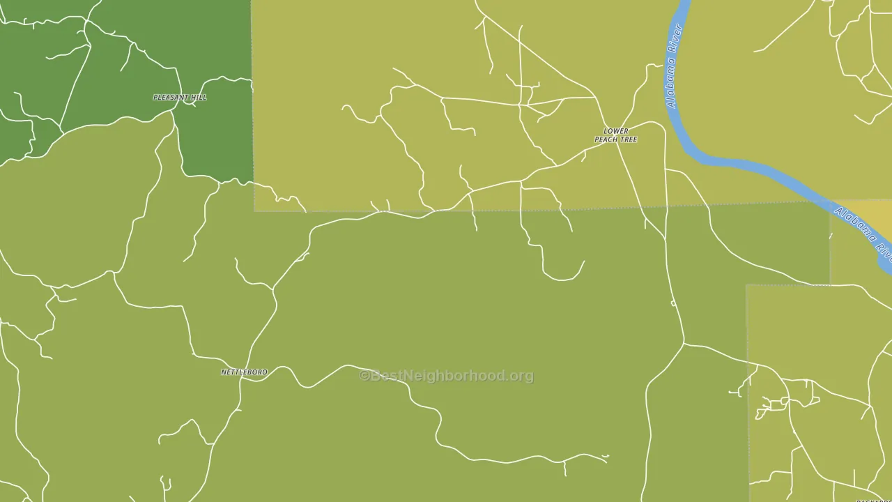 Nettleboro, AL block-group voter-turnout map