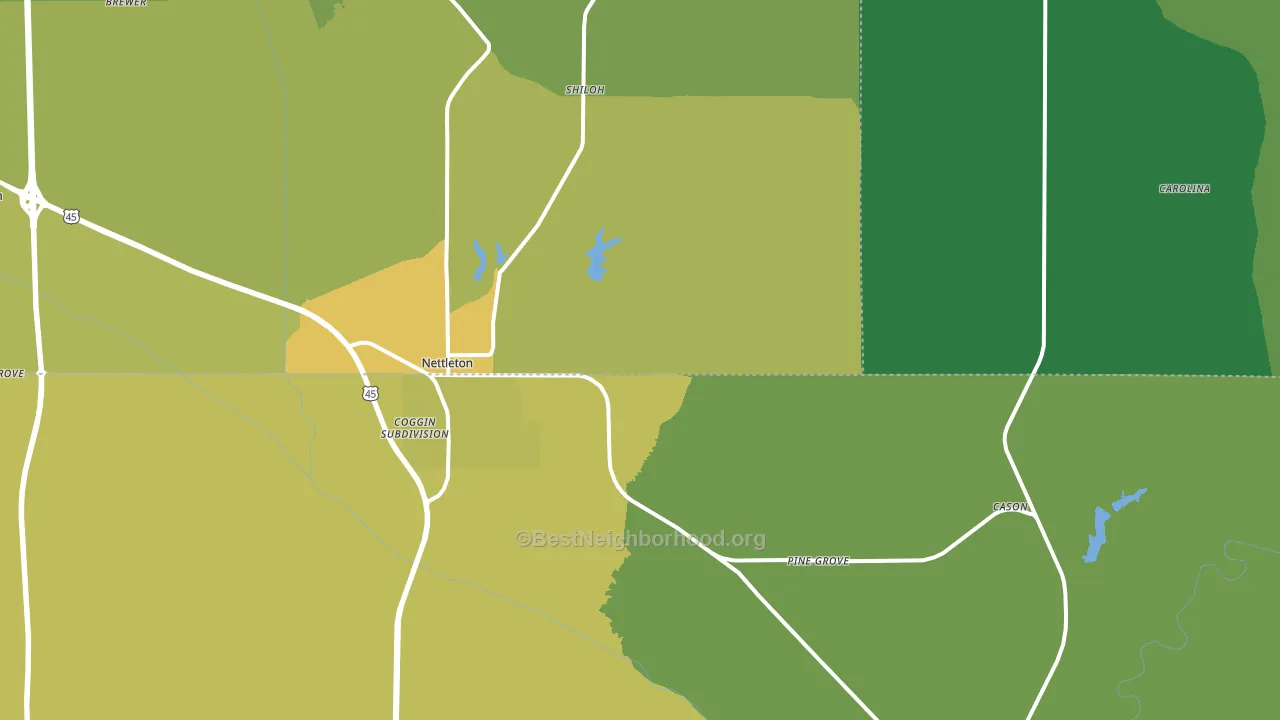 Nettleton, MS block-group voter-turnout map