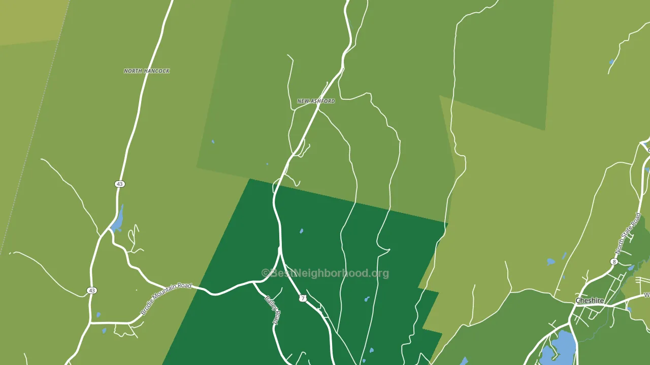 New Ashford, MA block-group voter-turnout map