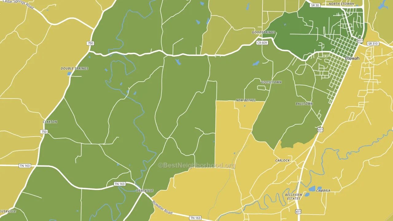 New Bethel, TN block-group voter-turnout map