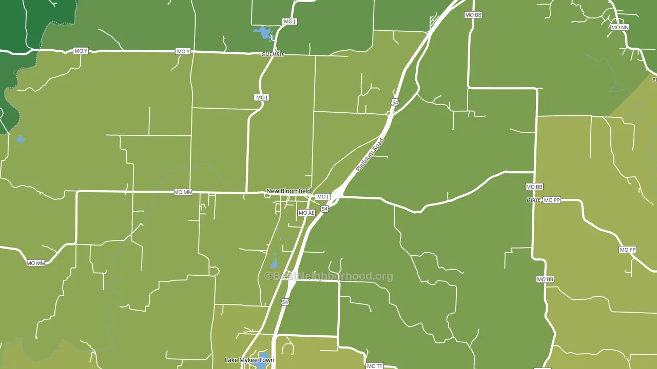 New Bloomfield, MO block-group voter-turnout map