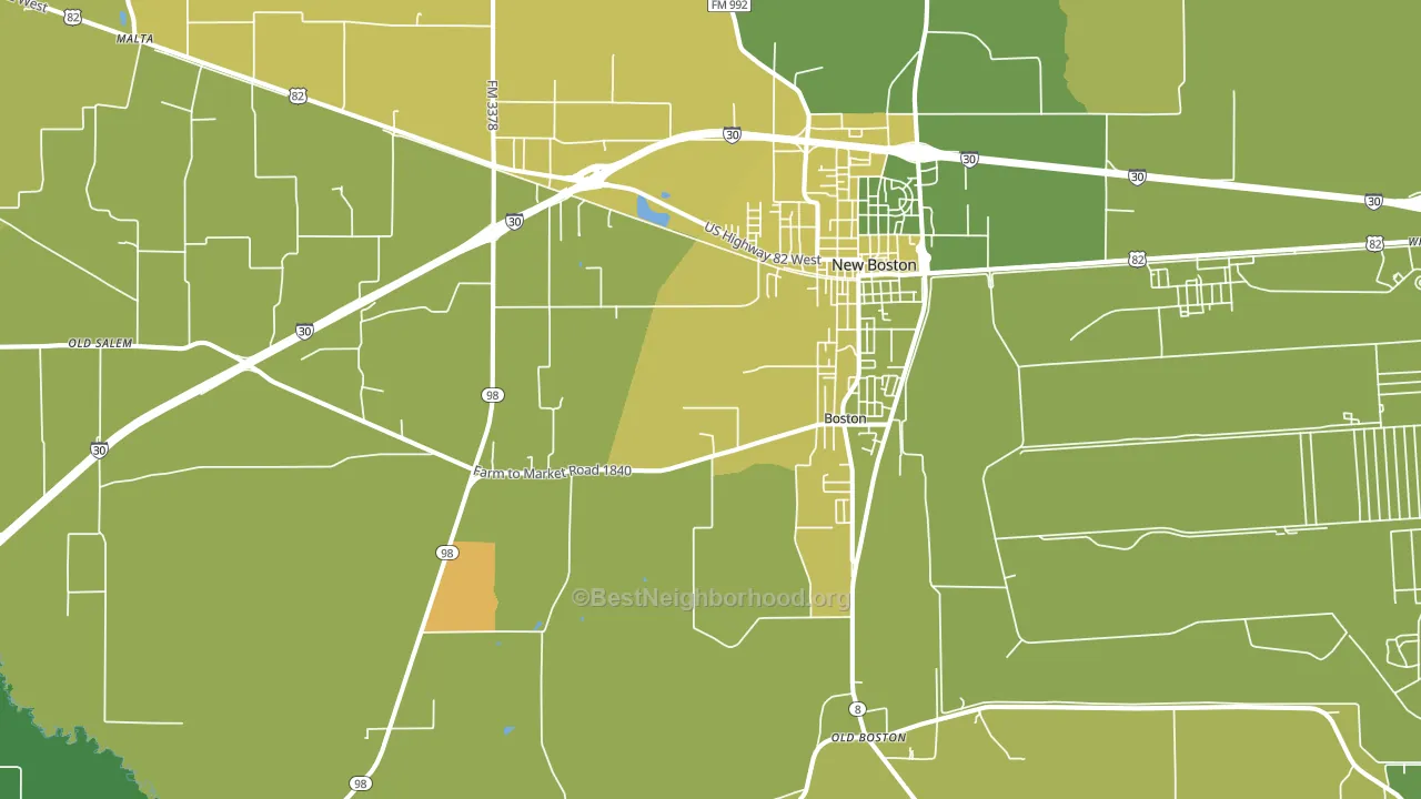 New Boston, TX block-group voter-turnout map