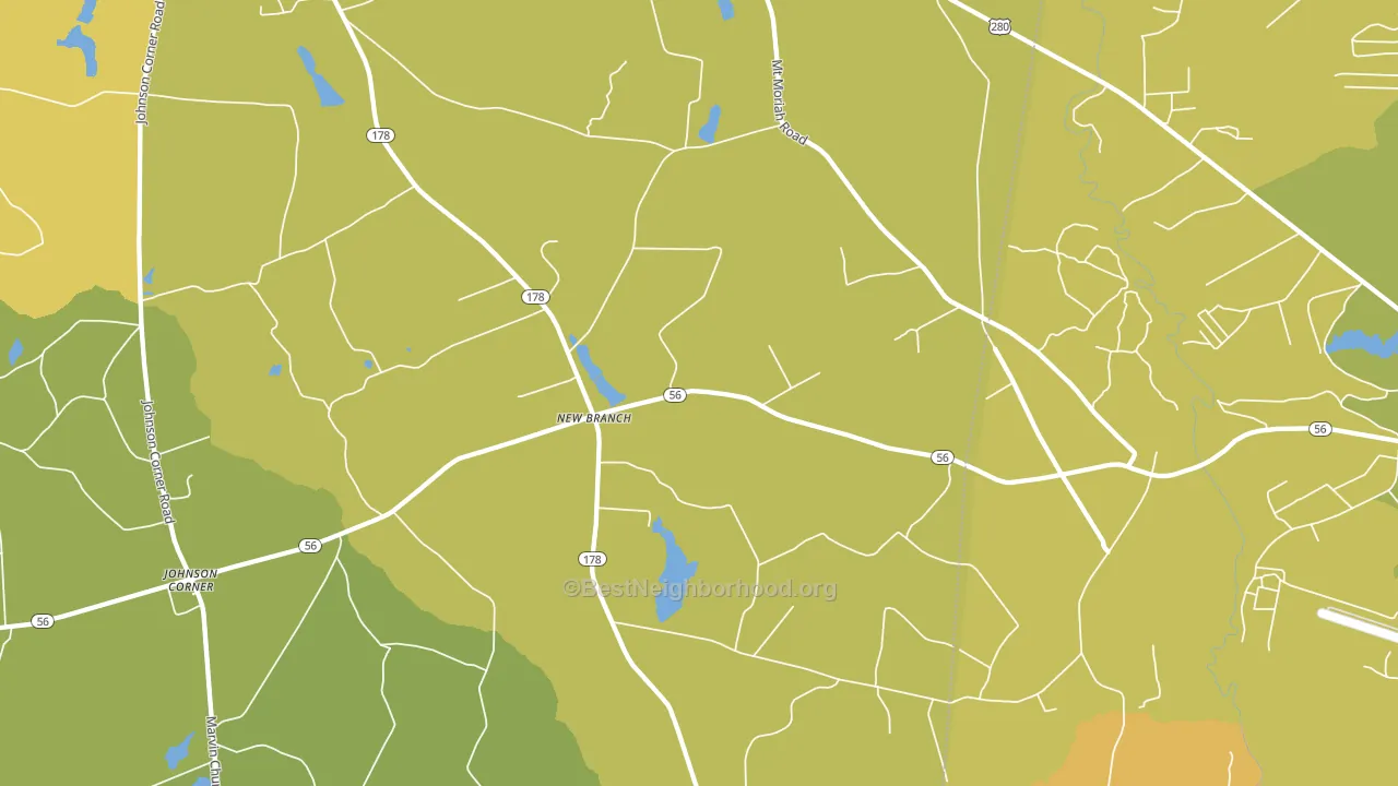 New Branch, GA block-group voter-turnout map