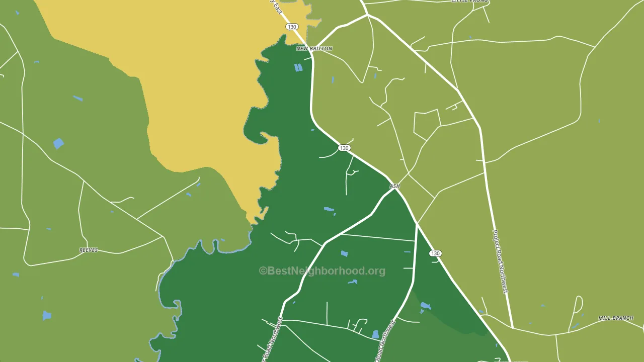 New Britton, NC block-group voter-turnout map
