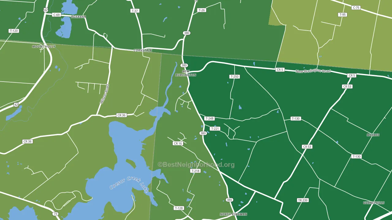 New Burlington, OH block-group voter-turnout map