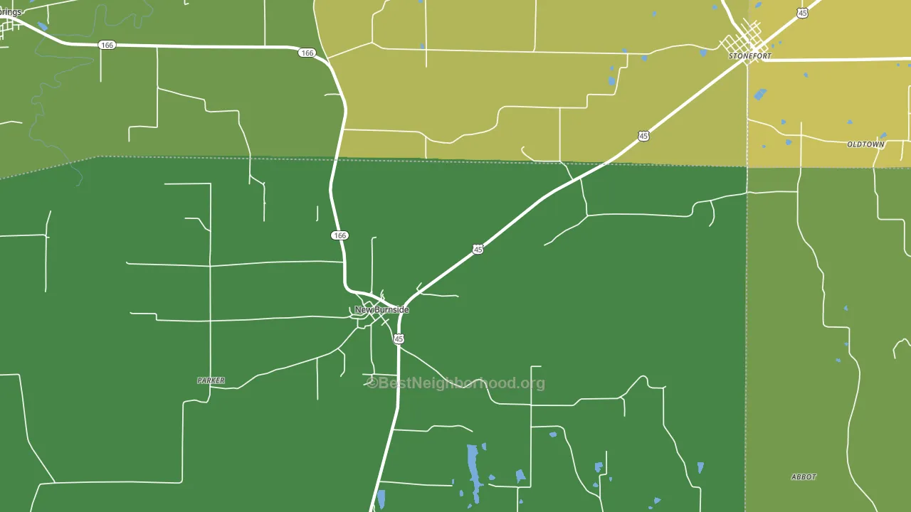 New Burnside, IL block-group voter-turnout map
