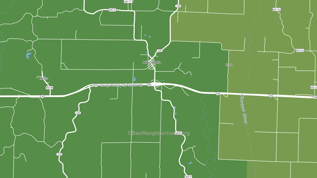 New Cambria, MO block-group voter-turnout map