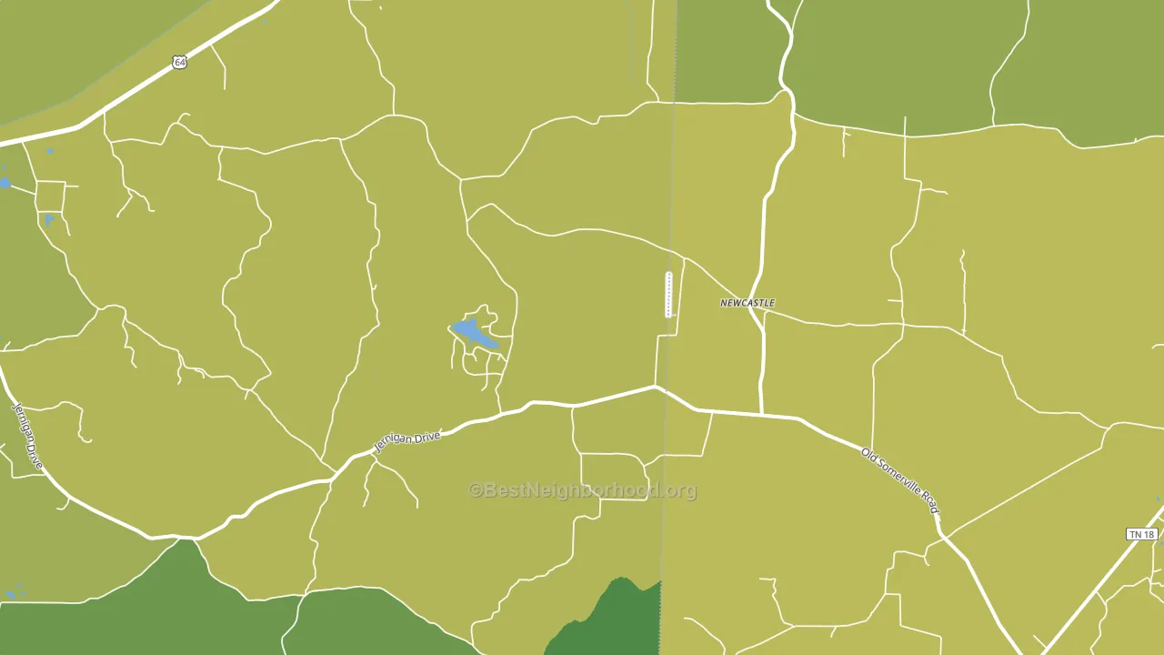 New Castle, TN block-group voter-turnout map