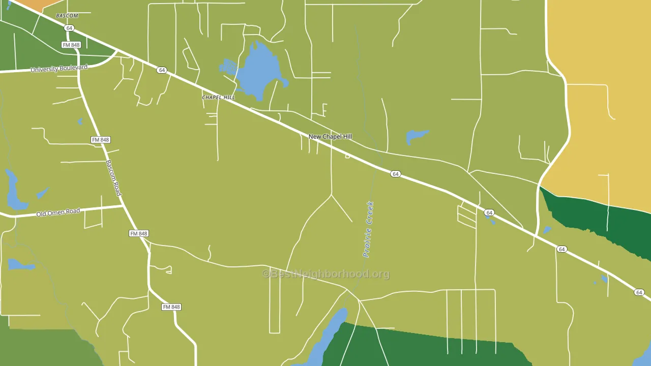 New Chapel Hill, TX block-group voter-turnout map