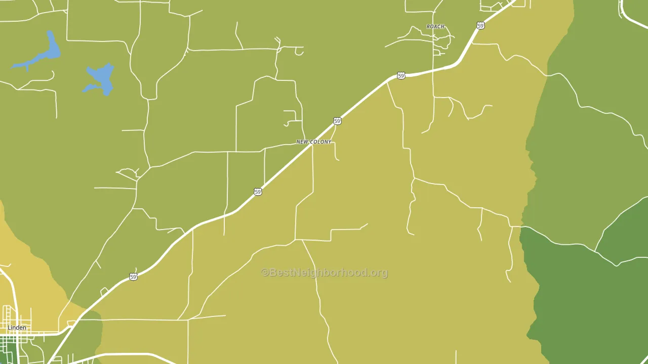 New Colony, TX block-group voter-turnout map