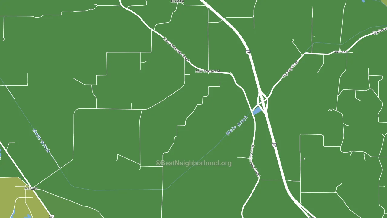 New Columbia, IL block-group voter-turnout map