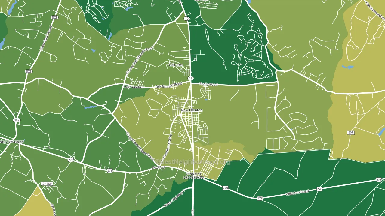 New Ellenton, SC block-group voter-turnout map